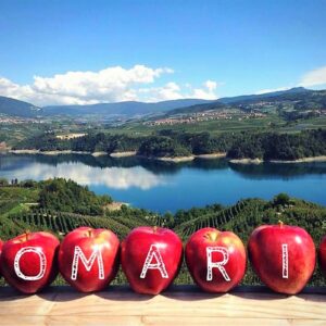 POMARIA E DISTILLERIA MARZADRO - 12 ottobre