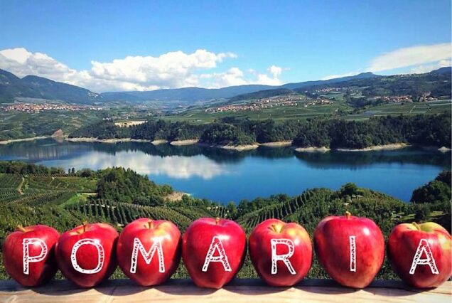 POMARIA E DISTILLERIA MARZADRO - 12 ottobre